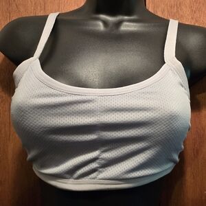 Altea Light Gray/blue Sports Bra SzS